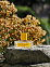 Vilhelm Parfumerie Back to the Roots фото 5
