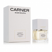 Carner Barcelona Sweet William