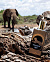 Memo African Leather фото 8