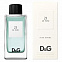 Dolce&Gabbana №21 Le Fou 